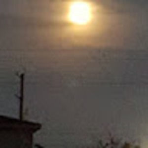 Meet your Posher, Marvin